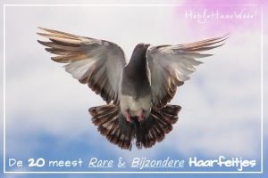 20 meest rare en bijzondere haarfeitjes